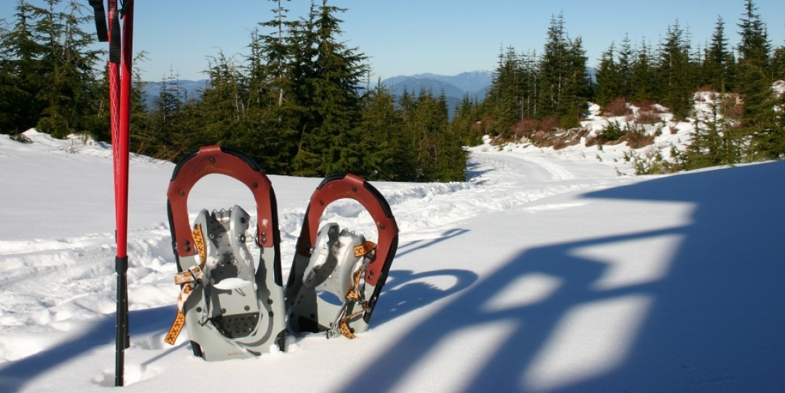 Guided snowshoe hike